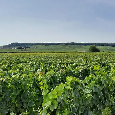 Maison Maertens Et Tables D'hotes B&B