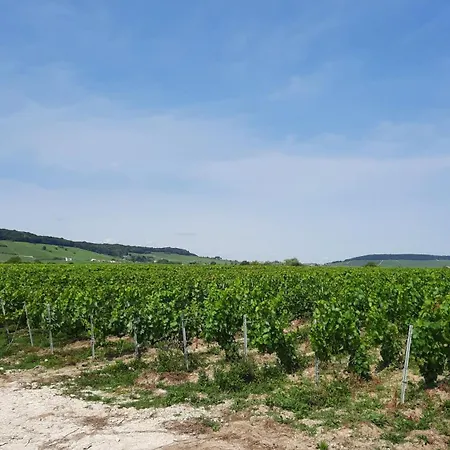 B&B Maison Maertens Et Tables D'hotes Wassy